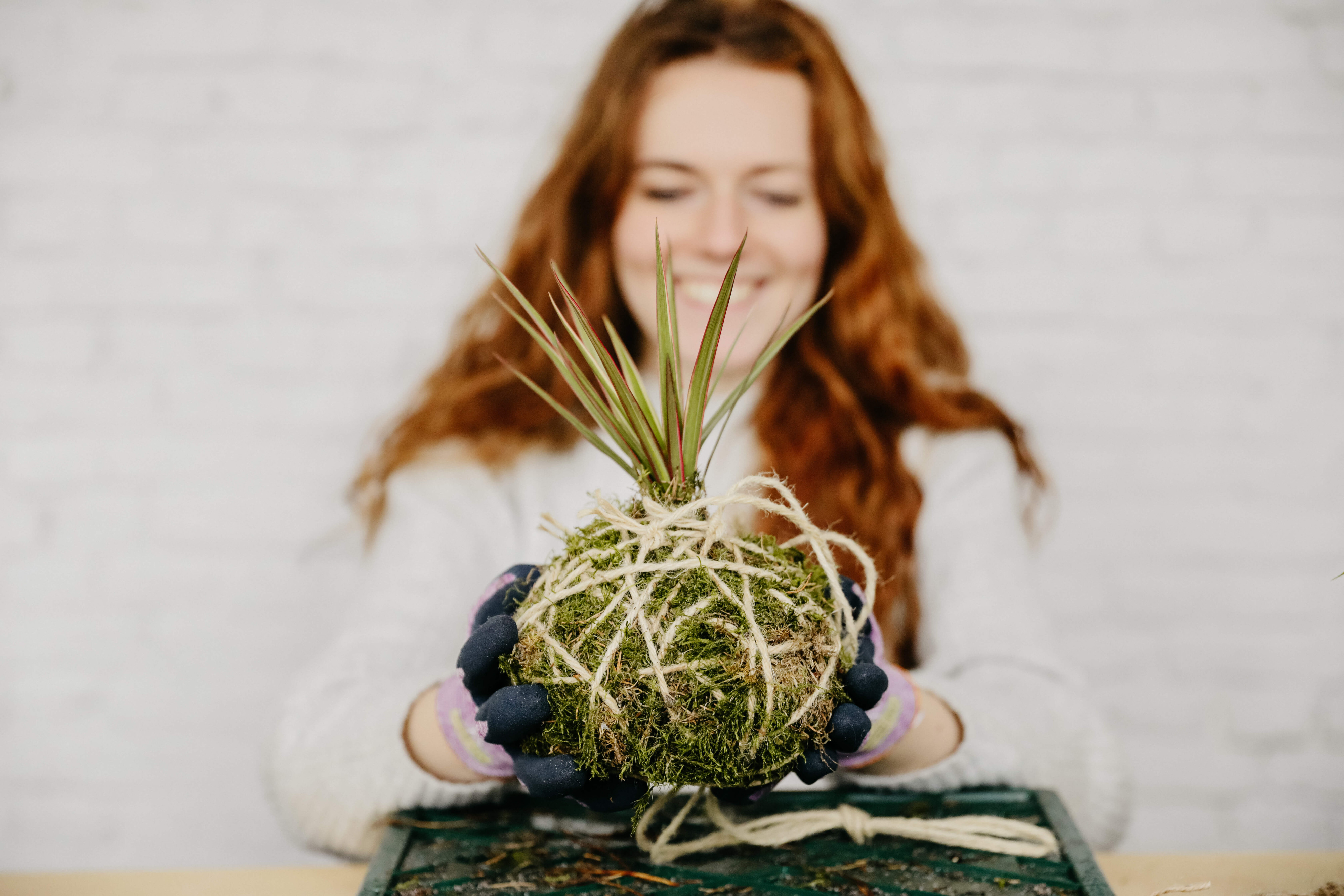 Kokedama