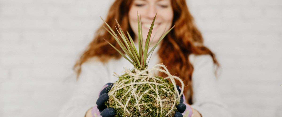 Kokedama